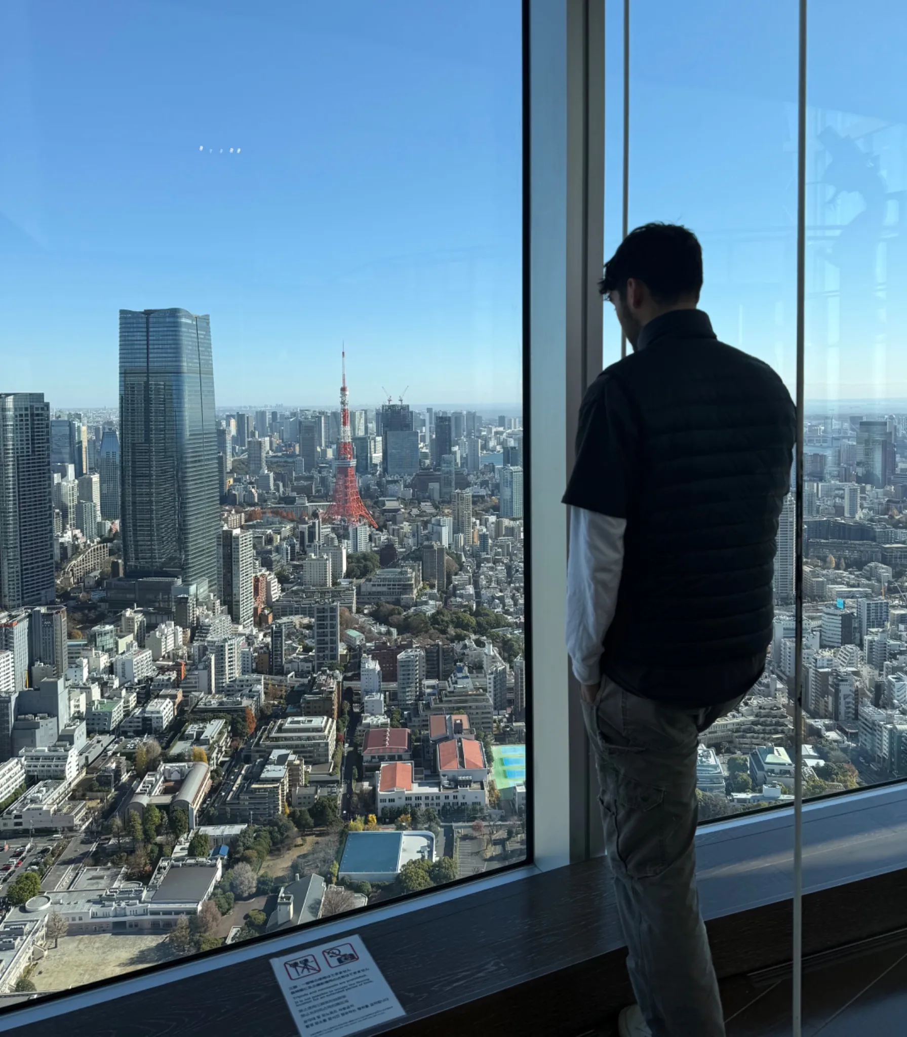 Tokyo skyline and Tokyo Tower viewed from a high observation deck